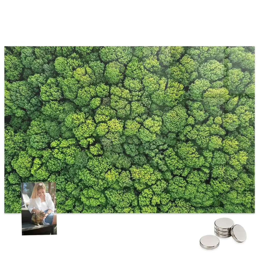 Tableau mural magnétique vue aérienne de la forêt