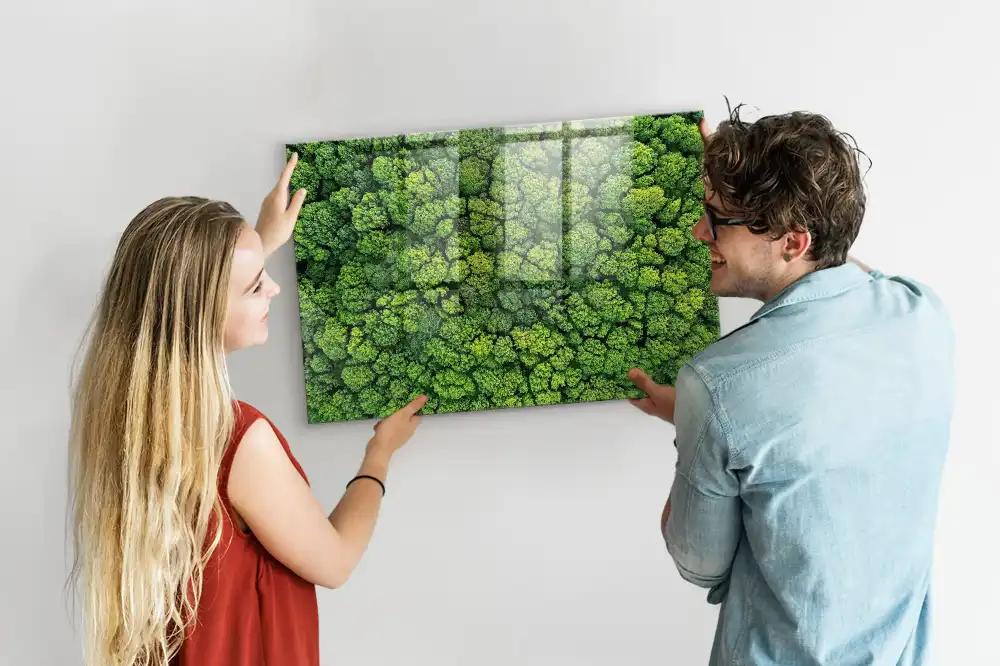 Tableau mural magnétique vue aérienne de la forêt